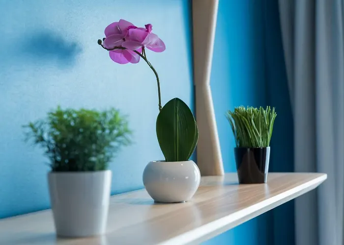 Imperi'ale Entre Durbuy Et Aywaille Otel